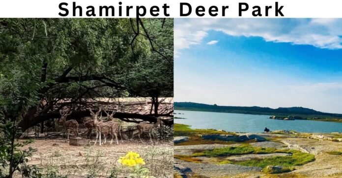 Shamirpet deer park