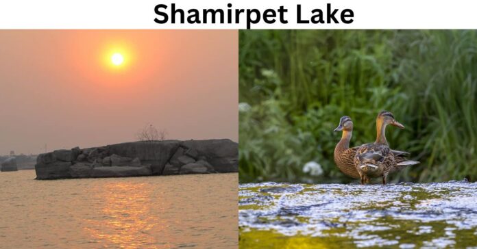 Shamirpet Lake Hyderabad