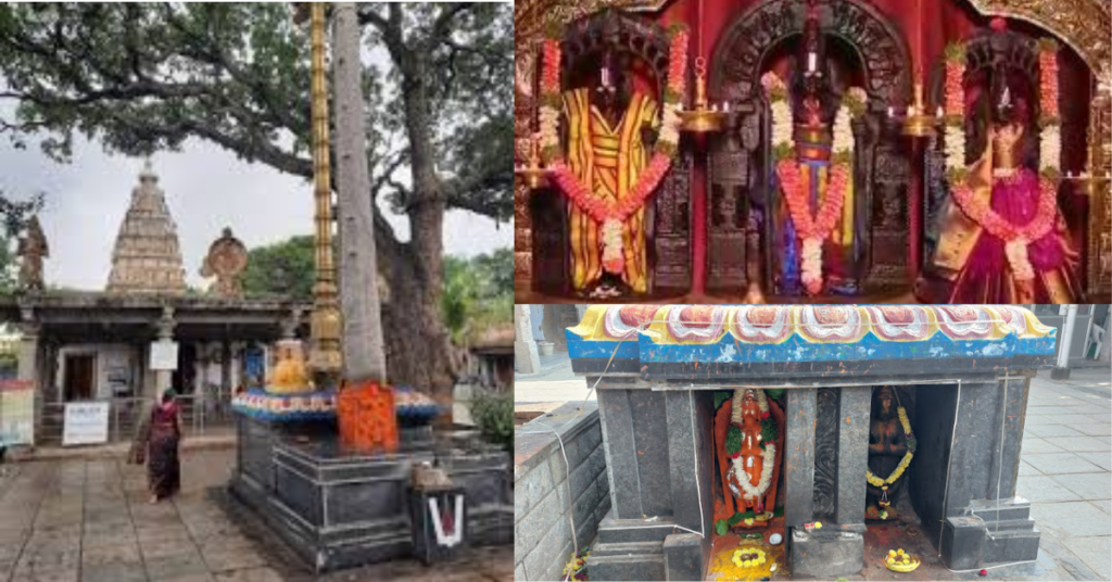  idol in side the Ammapalli temple