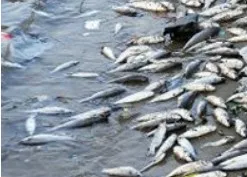 Shamirpet lake fishing