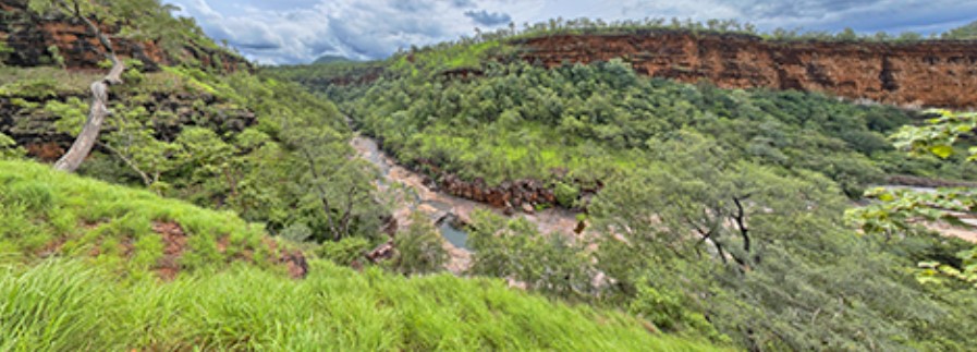 Bheemuni Paadam waterfalls