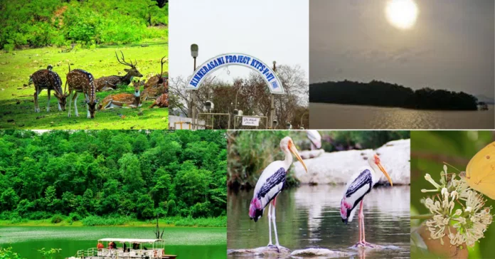 Beauty of Kinnerasani Wildlife Sanctuary