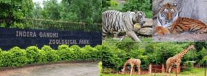 Exclusive Indira Gandhi Zoological Park in Visakhapatnam