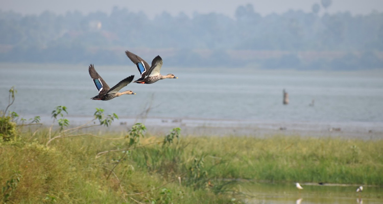 Capturing the serene atmosphere around the reservoir