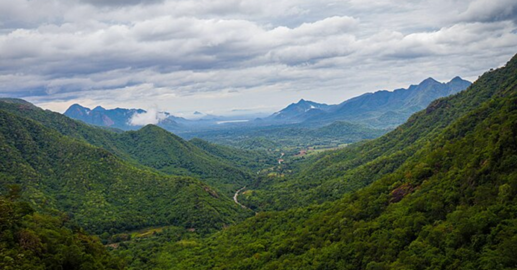 Eastern Ghats of Ananthagiri Hills