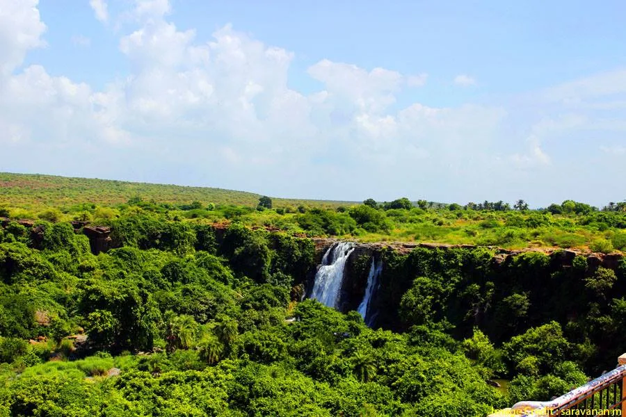 surrounding forest in Ethipothala Falls