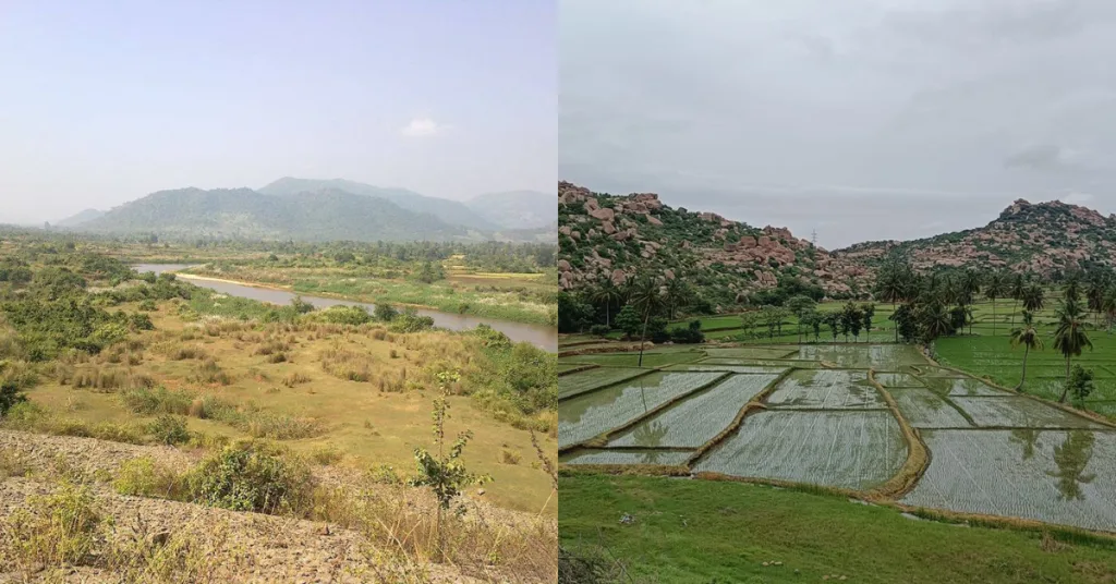 agricultural lands
and river view