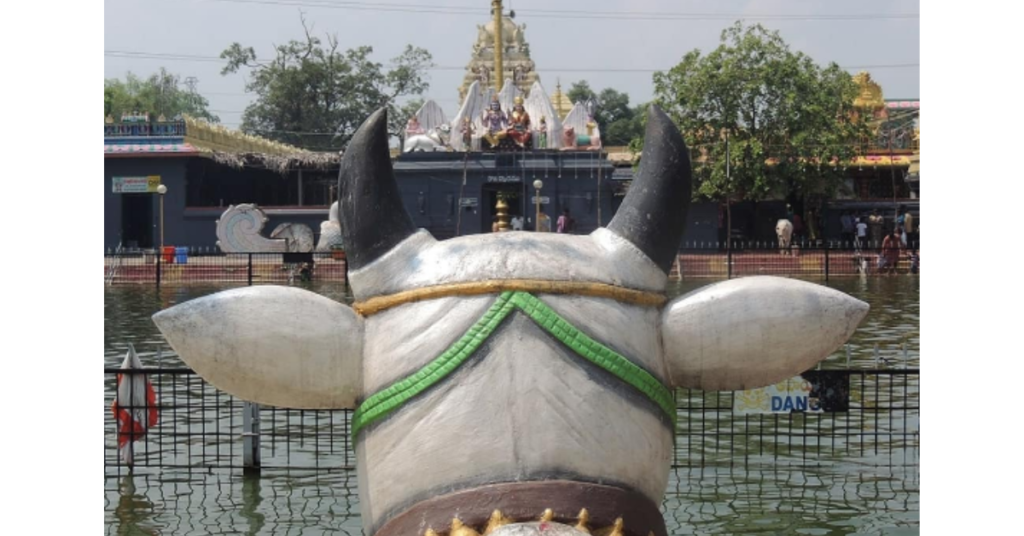 nandi in Sri Kukkuteshwara Swamy Temple