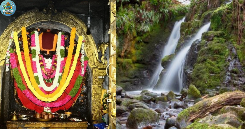 Malluru Narasimha Swamy
Chintamani Jalapatham (Srikakulam Waterfall)