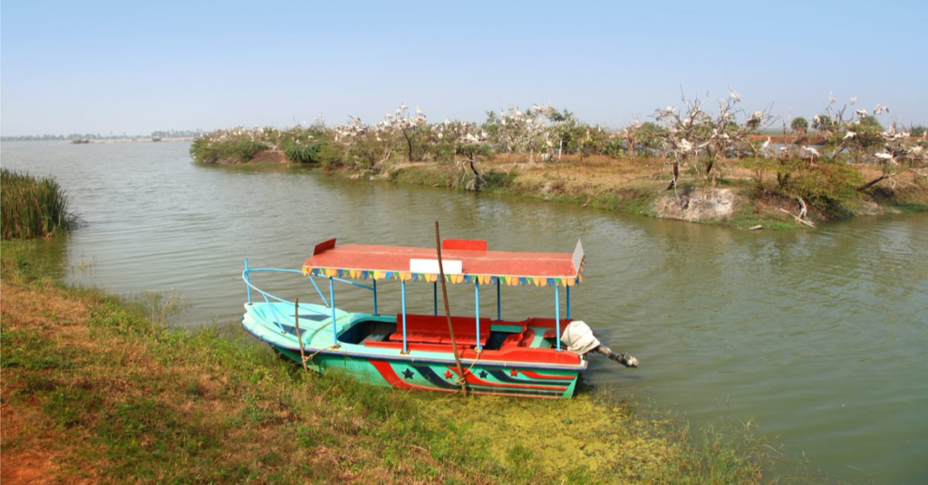 Kolleru Lake boating for
Kolleru lake bird sanctuary