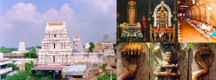 Rahu-Ketu Pooja at Srikalahasti Temple