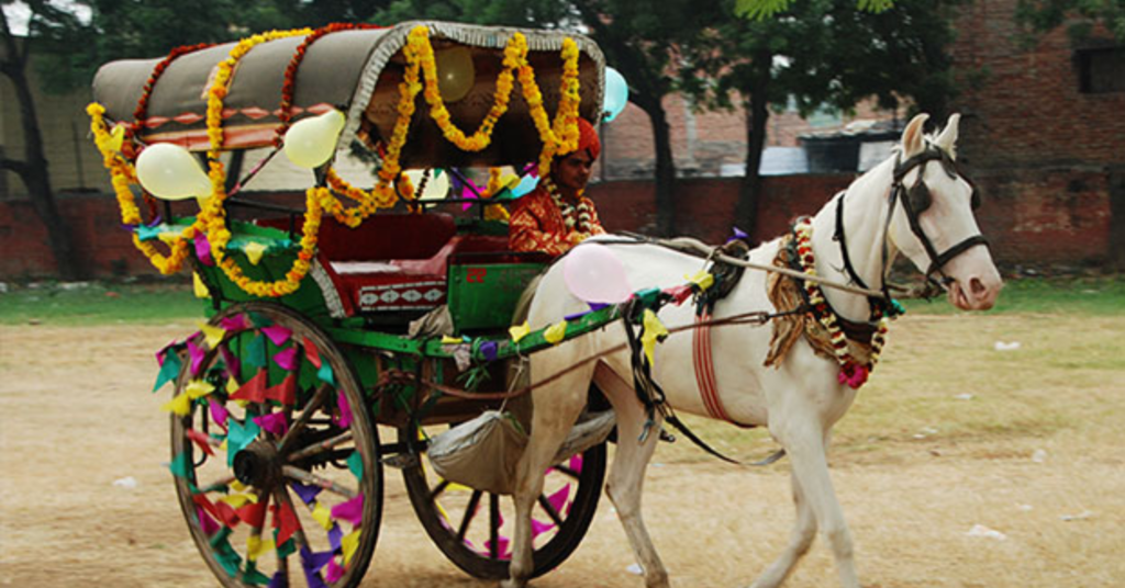 Tonga ride in Delhi Agra Jaipur tour 