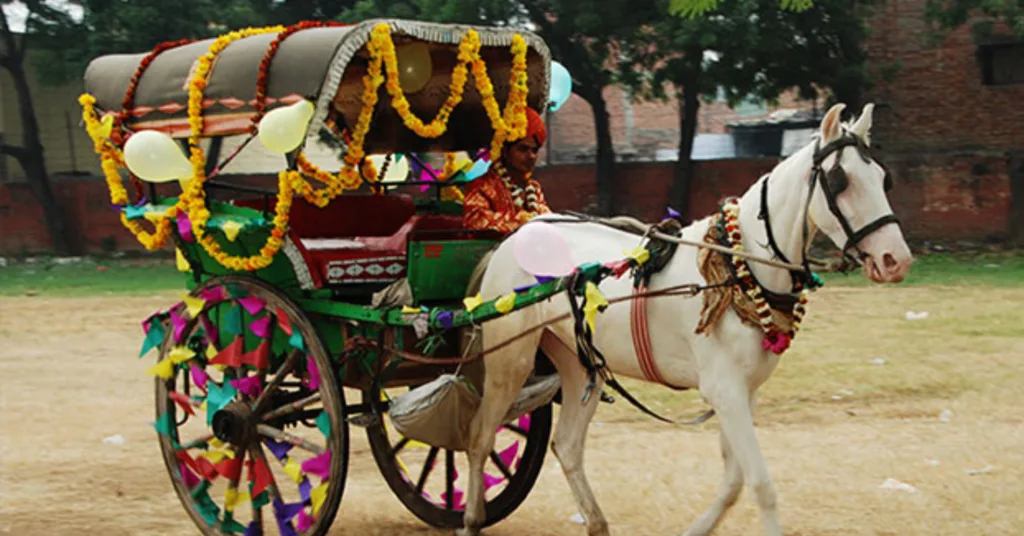 Tonga ride in Delhi Agra Jaipur tour