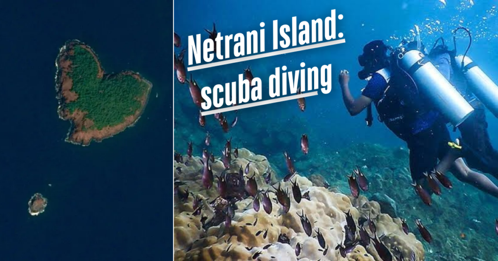 Netrani Island: The Underwater Scuba Diving
