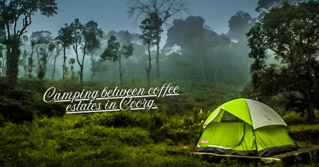 Coorg Camping Amidst Coffee Estates