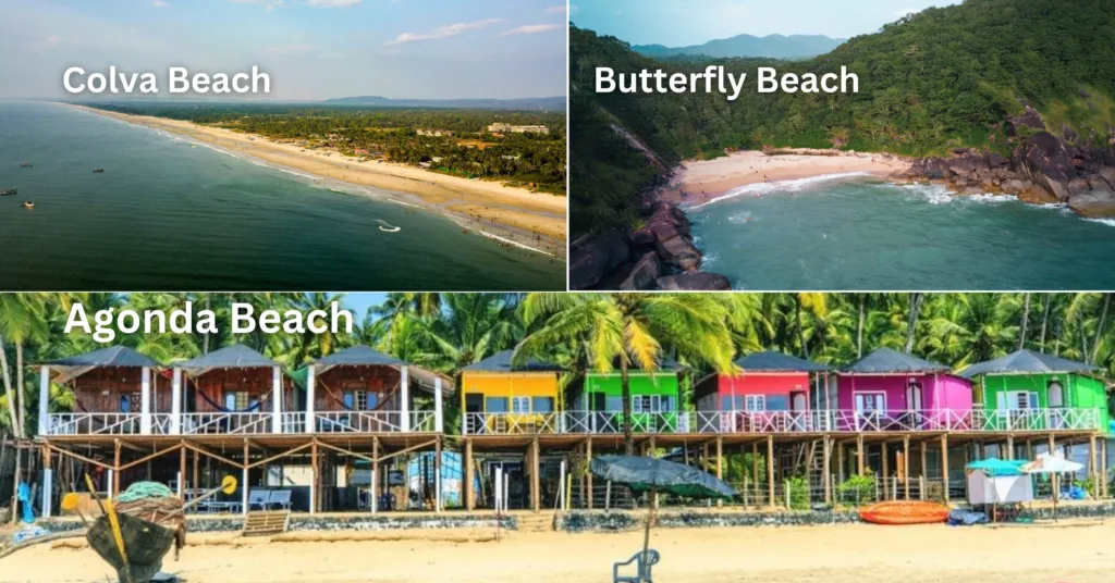 Exploring South Goa Beachs