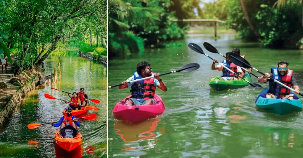 Kayaking through Kumarakom 