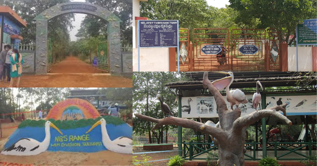 Nelapattu Bird Sanctuary entrance