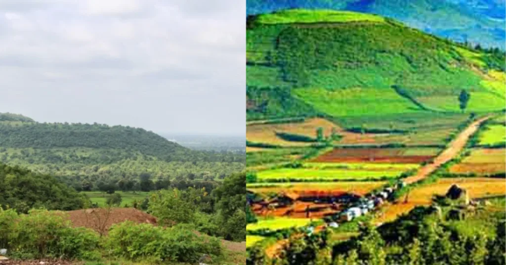 Ananthagiri Hills is coffee paradise