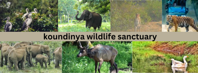 koundinya wildlife sanctuary