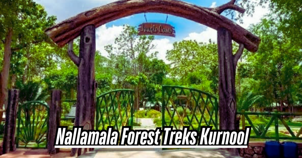 Nallamala Forest Treks Kurnool