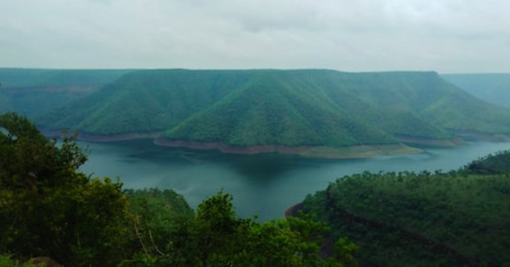 Nallamala Forest
