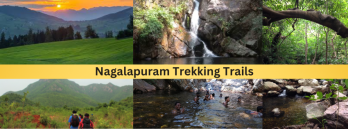 Nagalapuram Trekking Trails