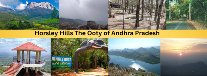 Horsley Hills: The Hidden Ooty of Andhra Pradesh