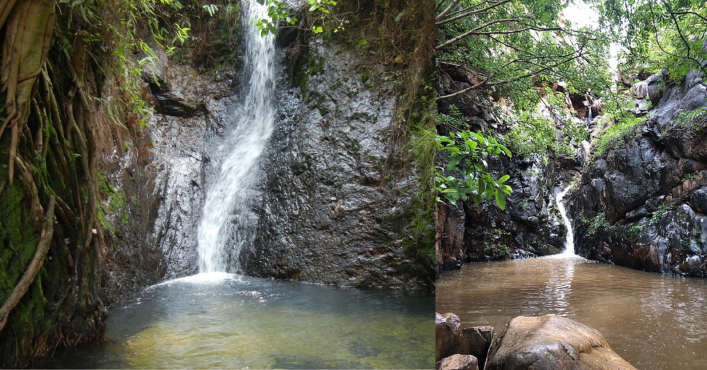  Lush green forest leading to Veyilingala Kona Waterfall