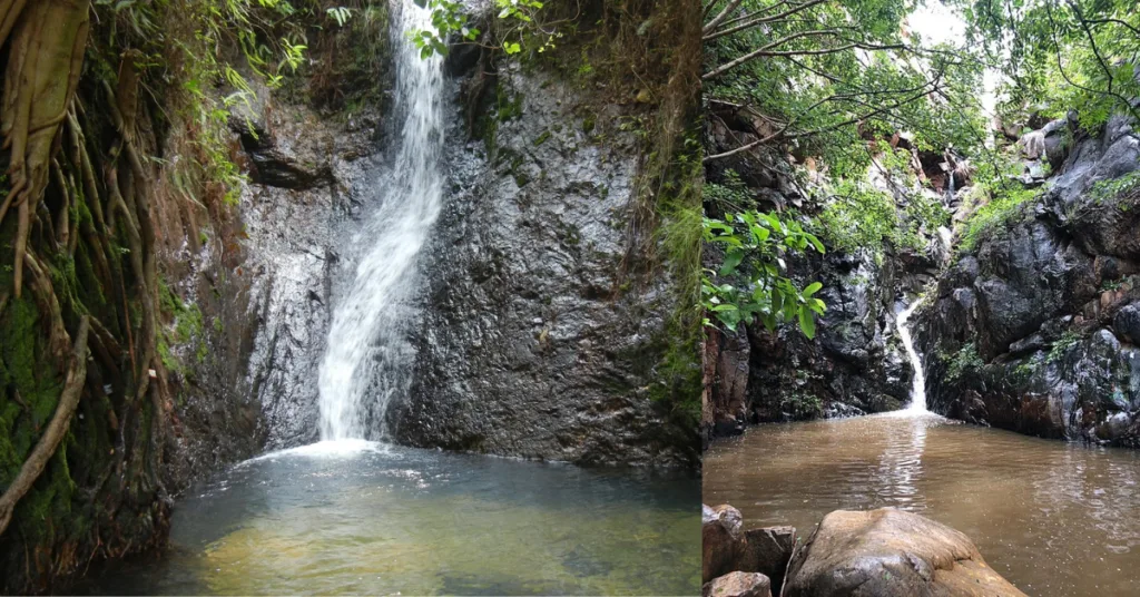 Lush green forest leading to Veyilingala Kona Waterfall