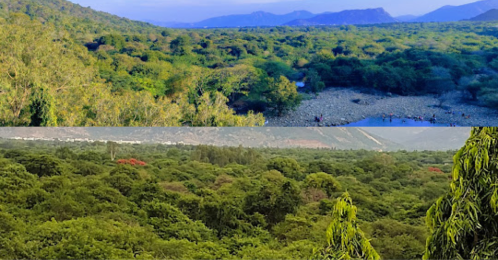 Lush green hills surrounding Kalyani Dam