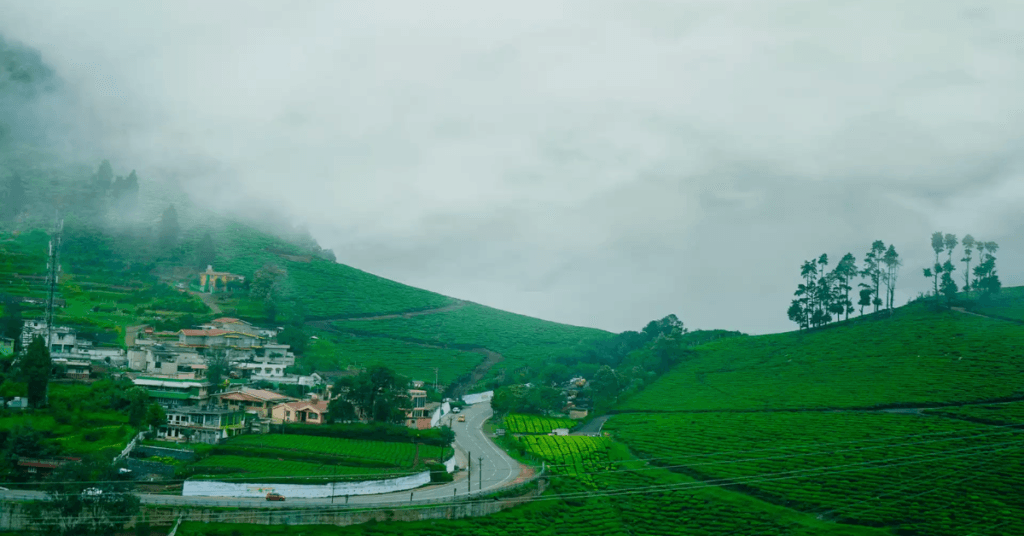 Ooty Top Hill Stations Near Andhra Pradesh