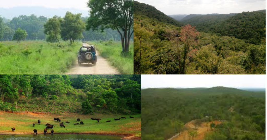 Scenic landscape of Koundinya Wildlife Sanctuary