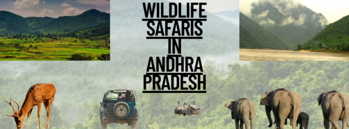 Wildlife safaris in Andhra Pradesh