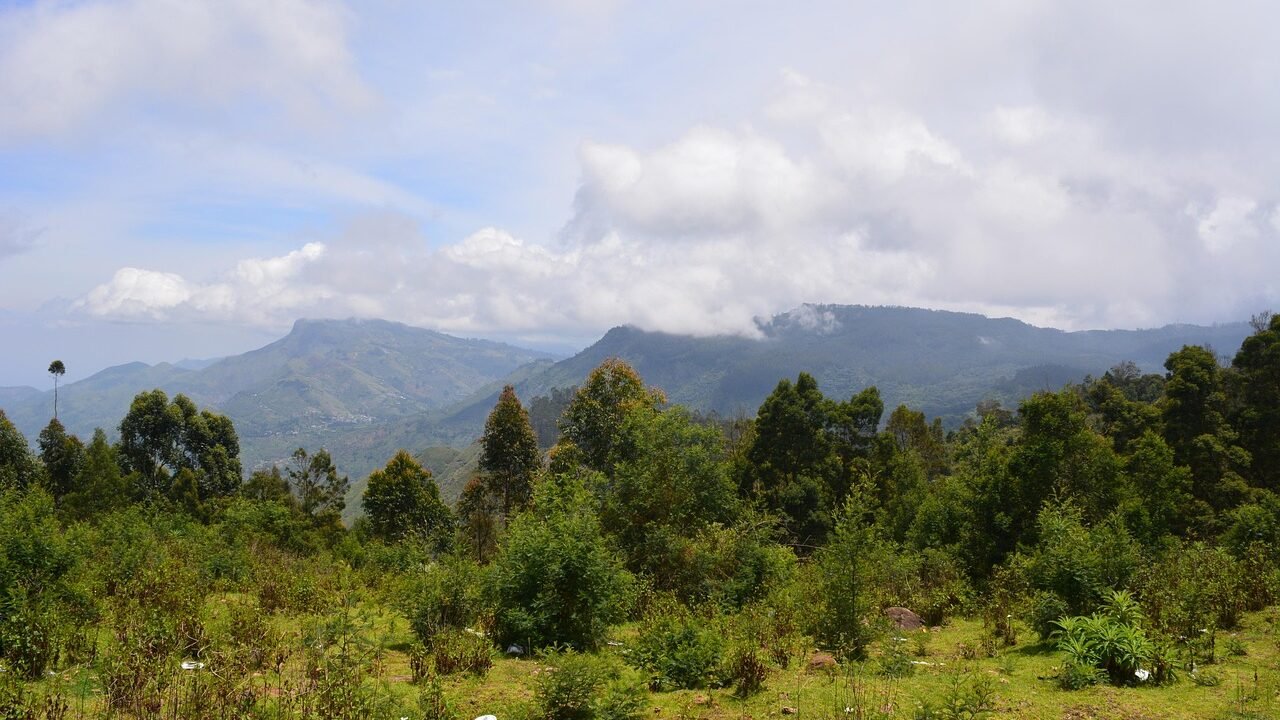 kodaikanal, tamilnadu