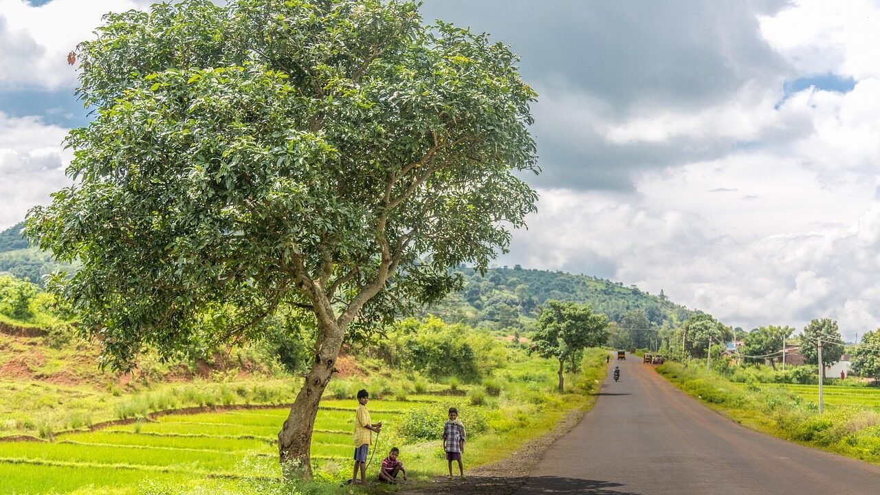 Araku Valley, Andhra Pradesh