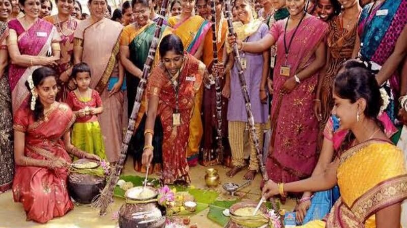 sankranti celebrations