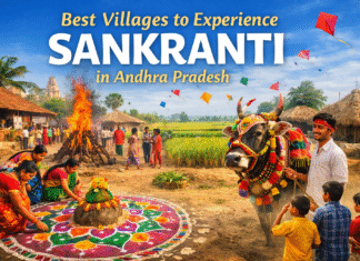 Best Villages to Experience Sankranti in Andhra Pradesh best villages to experience sankranti