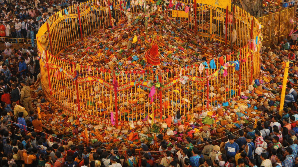 medaram jathara crowed