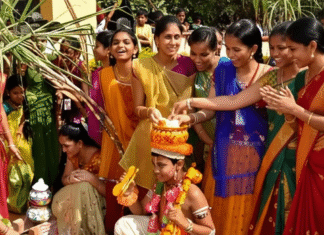 Sankranti in Villages vs Cities: Why Rural Andhra Celebrations Feel More Special? sankranti in villages vs cities