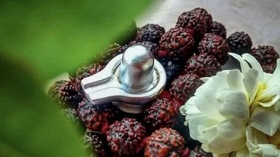 how to do shiva abhishekam at home