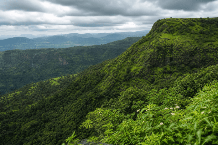 Pune to Bhimashankar