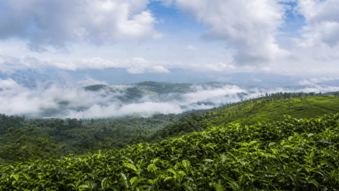 megamalai weather