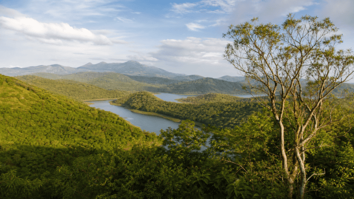 srivilliputhur megamalai tiger reserve
