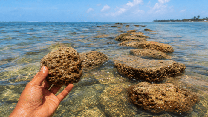 Ram Setu Floating Stones